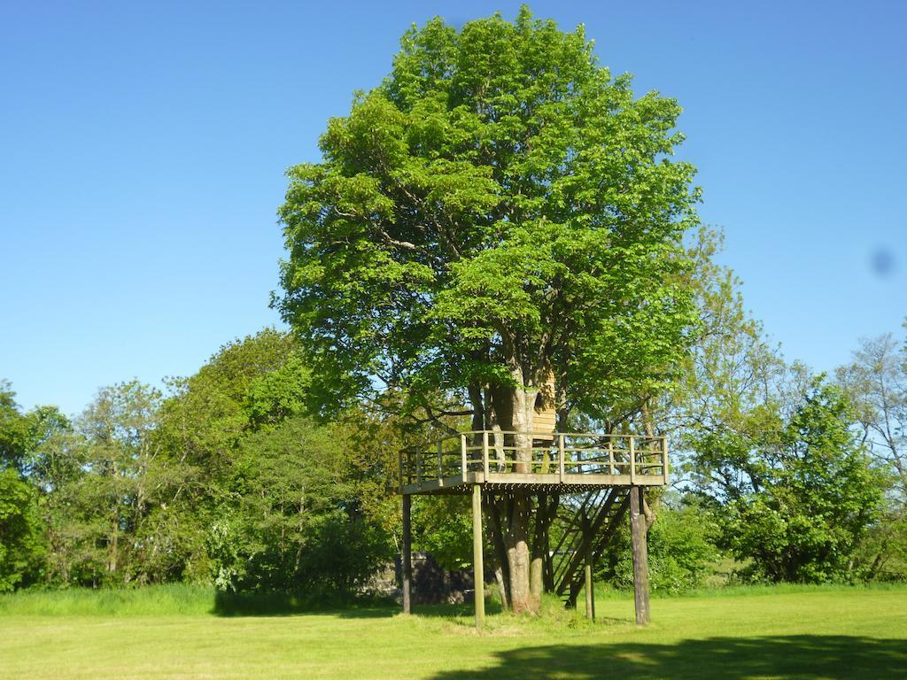Hotel Newmoor Park Launceston Exteriér fotografie