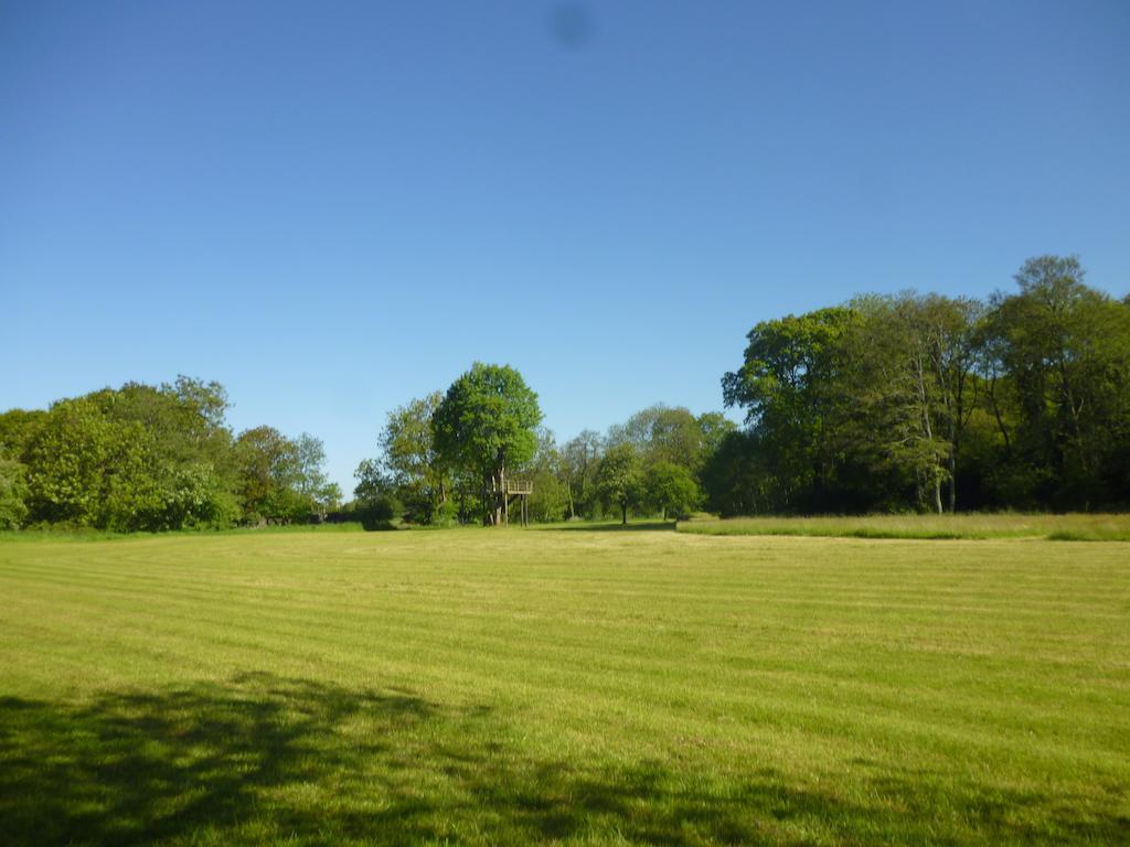 Hotel Newmoor Park Launceston Exteriér fotografie