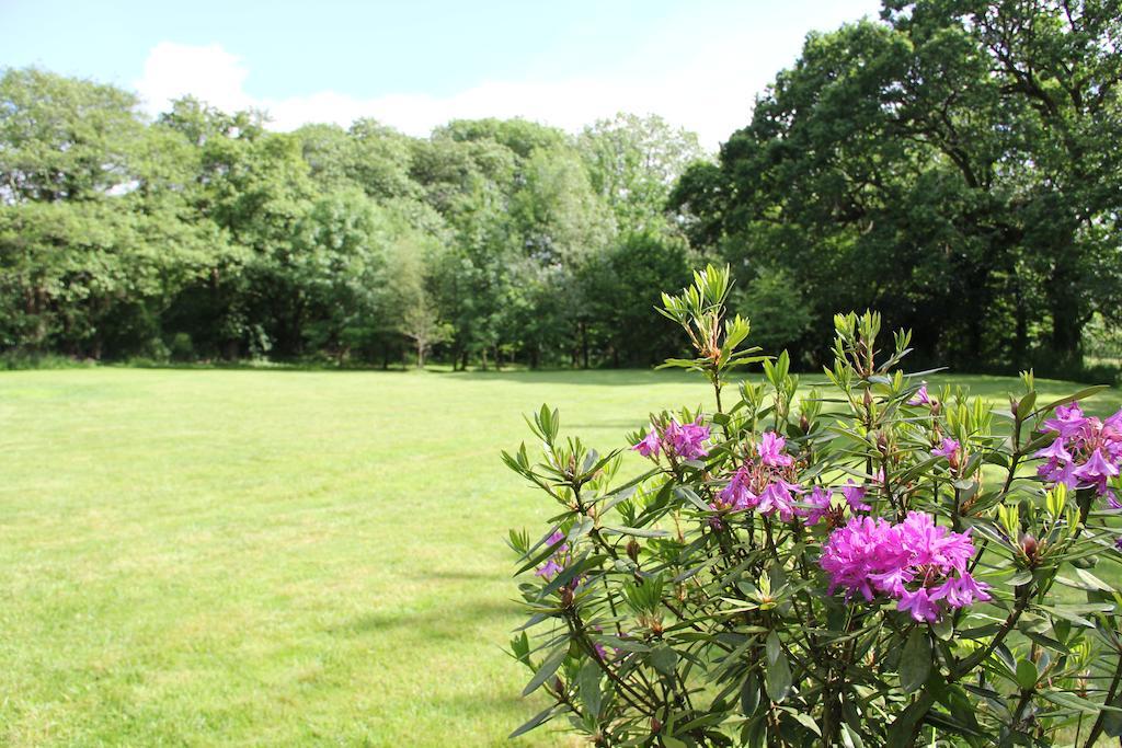 Hotel Newmoor Park Launceston Exteriér fotografie
